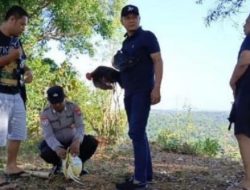 Markas Sabung Ayam di Sokobanah, Sampang di Gerebek Polisi
