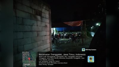 Skandal Perjudian Sabung Ayam Diwilayah Hukum Polres Trenggalek Bebas Beraktivitas