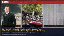 LSM Gmicak Minta APH Sidak Perjudian Sabung Ayam di Desa Bulo, Kecamatan Panca Rijang, Kabupaten Sidenreng Rappang (Sidrap)