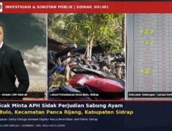 LSM Gmicak Minta APH Sidak Perjudian Sabung Ayam di Desa Bulo, Kecamatan Panca Rijang, Kabupaten Sidenreng Rappang (Sidrap)