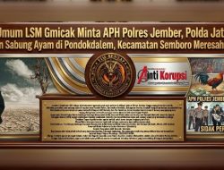 Ketua Umum LSM Gmicak Minta APH Polres Jember, Polda Jatim Sidak Perjudian Sabung Ayam di Pondokdalem, Kecamatan Semboro Meresahkan Warga