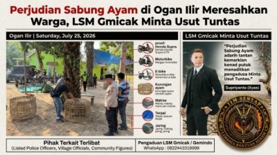 Perjudian Sabung Ayam di Ogan ilir Meresahkan Warga, LSM Gmicak Minta Usut Tuntas