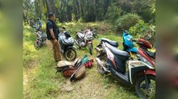 Pelaku Kabur ke Kebun Sawit Saat Arena Judi Sabung Ayam di Katibung Digerebek Polsek Katibung