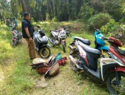 Pelaku Kabur ke Kebun Sawit Saat Arena Judi Sabung Ayam di Katibung Digerebek Polsek Katibung