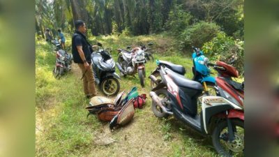 Pelaku Kabur ke Kebun Sawit Saat Arena Judi Sabung Ayam di Katibung Digerebek Polsek Katibung