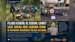 Resahkan Warga, Arena Judi Sabung Ayam di Katibung, Lampung Selatan, Digerebek Polisi