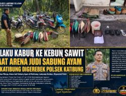 Resahkan Warga, Arena Judi Sabung Ayam di Katibung, Lampung Selatan, Digerebek Polisi