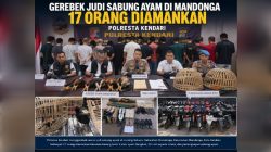 Gerebek Arena Judi Sabung Ayam di Mandonga, 17 Orang Diamankan Polresta Kendari