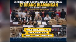Polisi Gerebek Markas Perjudian Sabung Ayam di Mandonga Kendari, 17 Orang Diamankan