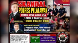Skandal Polres Pelalawan Gerebek Arena Sabung Ayam, 9 Orang di Amankan, 1 ditahan, 8 tidak ikut ditahan