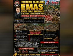 Puluhan Tambang Emas Diduga Ilegal Beroperasi di Marinding, Kecamatan Bajo Barat, LSM Gmicak Desak APH Bertindak