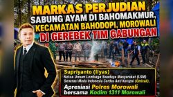 Markas Perjudian Sabung Ayam di Bahomakmur, Kecamatan Bahodopi, Morowali di Gerebek Tim Gabungan