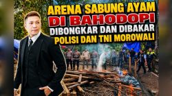 Arena Sabung Ayam di Bahodopi Dibongkar dan Dibakar Polisi dan TNI Morowali