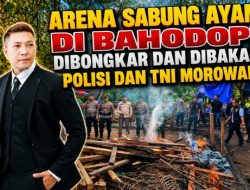 Arena Sabung Ayam di Bahodopi Dibongkar dan Dibakar Polisi dan TNI Morowali