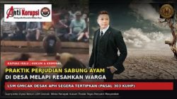 Praktik Perjudian Sabung Ayam di Desa Melapi, Kecamatan Putussibau Selatan, Kapuas Hulu “LSM Gmicak Desak APH Tertipkan