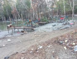 Dugaan Tambang Ilegal Jenis User-User Rusak Hutan Bakau di Kampung Pait Jaya, Desa Belo Laut, Kec. Mentok, Bangka Barat
