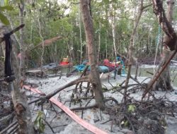 Tambang Jenis User-User di Kampung Pait Jaya, Desa Belo Laut, Kecamatan Mentok dugaan Ilegal Merusak Ekosistem