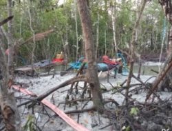 Dugaan Tambang Ilegal Jenis User-User kembali beroperasi Rusak Hutan Bakau di Kampung Pait Desa Belo Laut