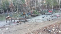 Dugaan Tambang Ilegal Jenis User-User kembali beroperasi Rusak Hutan Bakau di Kampung Pait Desa Belo Laut