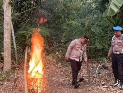 Sabung Ayam Pakisaji Akhirnya di Bumi hanguskan Aparat penegak hukum (APH)
