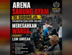 Arena Sabung Ayam Di Sidorejo, Kecamatan Pagelaran, Malang Meresahkan Warga, disorot LSM Gmicak