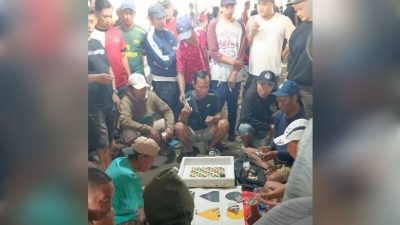 Perjudian Sabung Ayam di Desa Kalikecabean, Kecamatan Candi, Sidoarjo Marak Lagi, Disorot LSM Gmicak