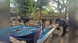 Polres Nganjuk Bongkar Dua Lokasi Sabung Ayam Di Sukomoro dan Loceret