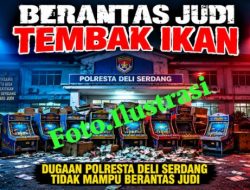 Judi Tembak Ikan Merajalela di Deli Serdang : Beroperasi 24 Jam, Dekat Sekolah, Diduga Dapat Perlindungan APH