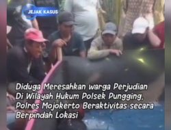 Judi Sabung Ayam di Pungging Mojokerto Mejadi Sorotan LSM Gmicak