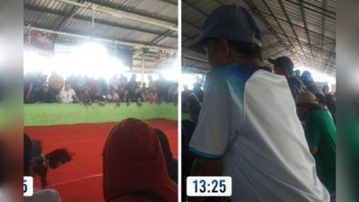 Markas Perjudian Sabung Ayam di Candi Sidoarjo “APH Belum Ada Tindakan Tegas